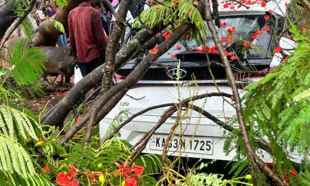 ಮಳೆ ಆವಾಂತರ. ಕಾರುಗಳ‌ ಮೇಲೆ ಉರುಳಿದ ಮರ. ಶಶಿಹಿತ್ಲು ಭಾಗದ ನಿವಾಸಿಗಳ ಆತಂಕ.