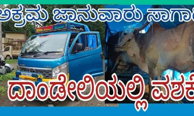 ಅಕ್ರಮವಾಗಿ ಜಾನುವಾರುಗಳ ಸಾಗಾಟ : ವಾಹನ ಸಮೇತ ವಶಕ್ಕೆ. ತನ್ನದೇ  ಎಂದ ಮಾಲೀಕ.