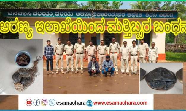 ಕಾಡುಹಂದಿ ಆಮೆ ಬೇಟೆಯಾಡುತ್ತಿದ್ದ ಮತ್ತಿಬ್ಬರ ಬಂಧನ. ಬನವಾಸಿ ಅರಣ್ಯ ವಲಯಾಧಿಕಾರಿಗಳ ಕಾರ್ಯಾಚರಣೆ.