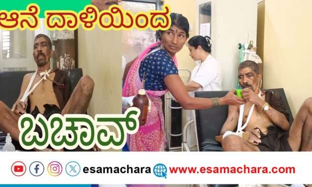 ಆನೆ ದಾಳಿಯಿಂದ ಪವಾಡ ಸದ್ರಶ್ಯವಾಗಿ ಪಾರಾಗಿ ಬಂದ ವ್ಯಕ್ತಿ