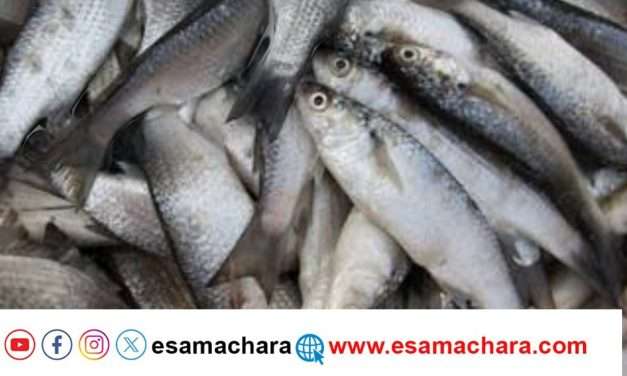 ಮೀನು ಹಿಡಿಯುವ ವಿಚಾರದಲ್ಲಿ ಗಲಾಟೆ.