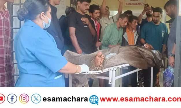 ದಾಳಿ ನಡೆಸಿದ ಕರಡಿಯೊಂದಿಗೆ ಕಾದಾಡಿದ ವ್ಯಕ್ತಿ ಗಂಭೀರ