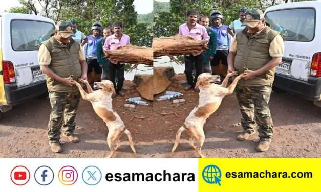 ಶಿರೂರಿನ ಅನಾಥ ಶ್ವಾನಕ್ಕೆ ಜಿಲ್ಲಾ ಪೊಲೀಸ್ ವರಿಷ್ಟಾಧಿಕಾರಿಗಳ ಆಸರೆ.