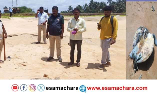 ಬೆಂಗಳೂರಿನ ಅಜೀಮ ಪ್ರೇಮಜಿ ವಿವಿ ವಿದ್ಯಾರ್ಥಿಗಳಿಂದ ಕಡಲಾಮೆ ದರ್ಶನ