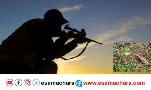 ಬೆಣಂದೂರು ಅರಣ್ಯದಲ್ಲಿ ಕಡವೆ ಬೇಟೆ ಮಾಡಿದ ಹಂತಕರು.