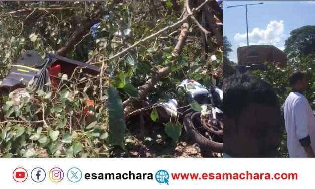 ಶಿರಾಲಿ ರಾಷ್ಟ್ರೀಯ ಹೆದ್ದಾರಿಯಲ್ಲಿ ದೊಪ್ಪನೇ ಬಿತ್ತು ಮರದ ಕೊಂಬೆ.