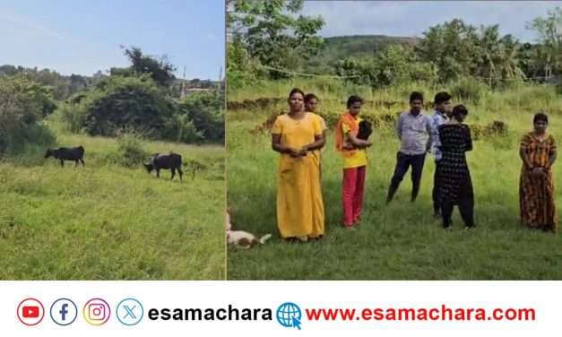 Shocking News. ಭಟ್ಕಳದಲ್ಲಿ ಗೋ ಕಳ್ಳರ ಅಟ್ಟಹಾಸ. ಕಂಗಾಲಾದ ರೈತ ಸಮೂಹ.