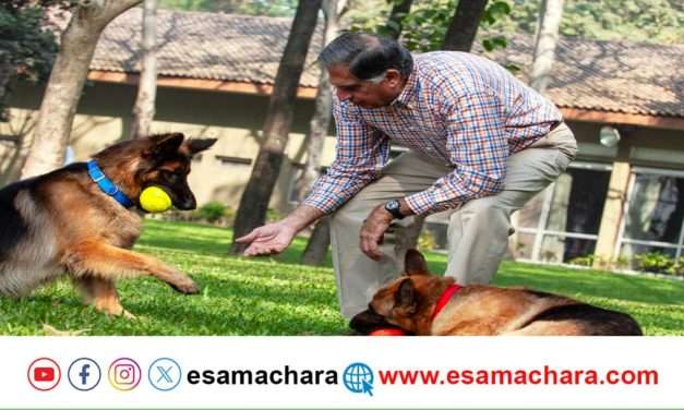 ರತನ್ ಟಾಟಾ ಮುದ್ದಿನ ಶ್ವಾನಕ್ಕೂ ಆದಾಯದಲ್ಲಿ ಪಾಲು