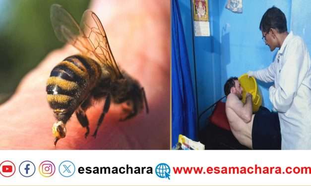 ಚಾರಣಕ್ಕೆ ಬಂದವರ ಮೇಲೆ ಹೆಜ್ಜೇನು ದಾಳಿ.ಪೇಟೆಯ ಜನಕ್ಕೂ ಆತಂಕ ಮೂಡಿಸಿದ ಘಟನೆ