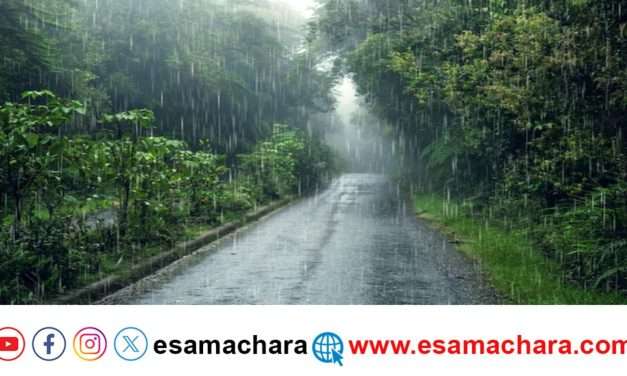 Wheather Report: ಇನ್ನೂ ಕೆಲ ದಿನಗಳವರೆಗೆ ಮಳೆ ಸಾಧ್ಯತೆ. ಯಲ್ಲೋ ಅಲರ್ಟ್ ಘೋಷಣೆ