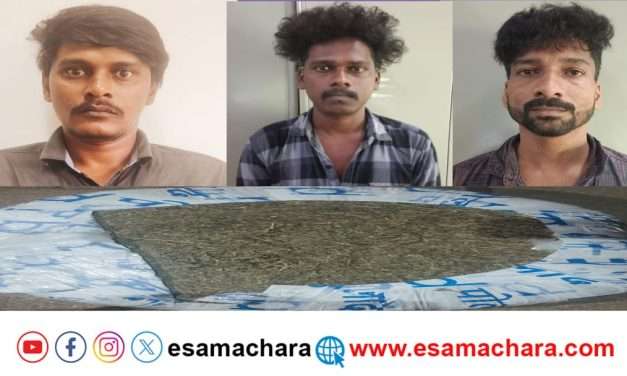 Arrest News/  ಗಾಂಜಾ ಮಾರಾಟಕ್ಕೆ ಯತ್ನಿಸುತ್ತಿದ್ದ ಮೂವರ ಬಂಧನ.