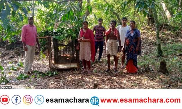 Leopard/ ಮನೆಯಂಗಳದಲ್ಲಿ ಚಿರತೆ. ಆತಂಕಗೊಂಡಿರುವ ಜನತೆ.