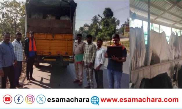 Cattle Rescue/ ಅಕ್ರಮವಾಗಿ ಜಾನುವಾರು ಸಾಗಾಟ. ಪೊಲೀಸರಿಂದ ರಕ್ಷಣೆ