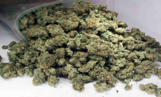 Arrest/ ಭಟ್ಕಳದಲ್ಲಿ ಗಾಂಜಾ ಹೊಡೆದ ಯುವಕನ ಆರೆಸ್ಟ್.