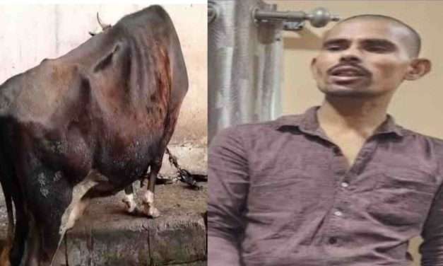 Cow Case/ ಹಸುವಿನ ಮೇಲೆ ವಿಕೃತಿ ಮೆರೆದ ಮತಾಂಧನ ಬಂಧನ.