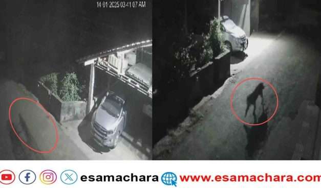 Leopard/ ಸಂಸದರ ಮನೆಯ ಬಳಿ  ಹೊಂಚು ಹಾಕಿದ ರಣಬೇಟೆಗಾರ.