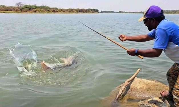 Fish Catching/ ಕಾರವಾರದಲ್ಲಿ ಗಾಳ ಹಾಕಿ ಮೀನು ಹಿಡಿಯುವ ಮುಕ್ತ ಸ್ಪರ್ಧೆ.