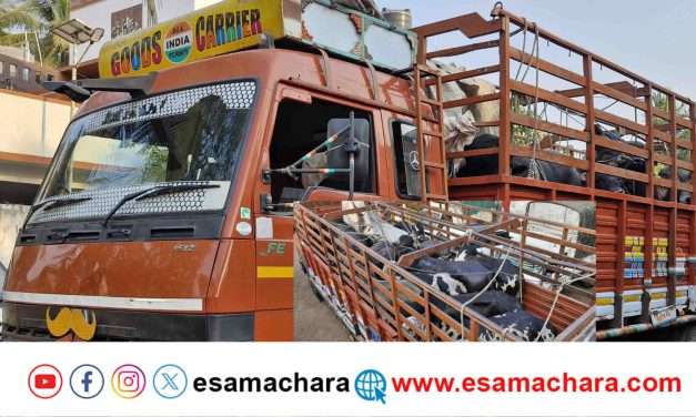 Cattle Rescue/ ಭಟ್ಕಳದಲ್ಲಿ ಕಸಾಯಿಖಾನೆಗೆ ಸಾಗಿಸುತ್ತಿದ್ದ ಜಾನುವಾರುಗಳ ರಕ್ಷಣೆ. ಪೊಲೀಸರ ಕಾರ್ಯಾಚರಣೆ.