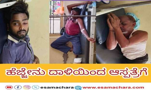 Honeybee/  ಹೆಜ್ಜೇನು ದಾಳಿ. ದಿಕ್ಕಾ ಪಾಲಾಗಿ ಓಡಿದ ಜನ. ಮೂವರಿಗೆ ಗಾಯ