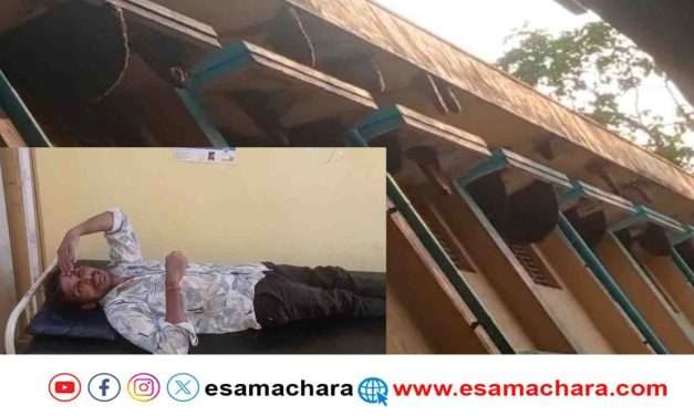 Honeybee attack/ ಕೈಗಾರಿಕಾ ಪ್ರದೇಶದಲ್ಲಿ ಹೆಜ್ಜೇನು ದಾಳಿ. ಏಳು ಕಾರ್ಮಿಕರಿಗೆ ಗಾಯ.