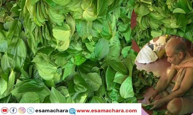 Honavar farmers/ ಪಾಕಿಸ್ತಾನಕ್ಕೆ ಬಿತ್ತು ಹೊನ್ನಾವರದ ಬರೋಬ್ಬರಿ ಹೊಡೆತ. ಕಾರಣ ಏನು?