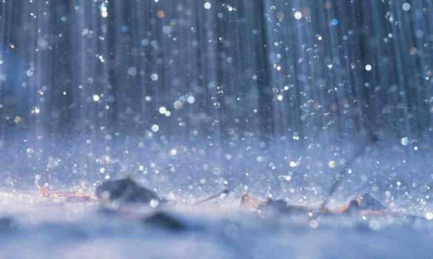 Rain Alert/ ಅರಬ್ಬೀ ಸಮುದ್ರದಲ್ಲಿ ವಾಯುಭಾರ ಕುಸಿತ. ಕರಾವಳಿ ಸೇರಿ ರಾಜ್ಯದ ಇತರ ಜಿಲ್ಲೆಗಳಲ್ಲಿ ಮಳೆ ಮುನ್ಸೂಚನೆ.