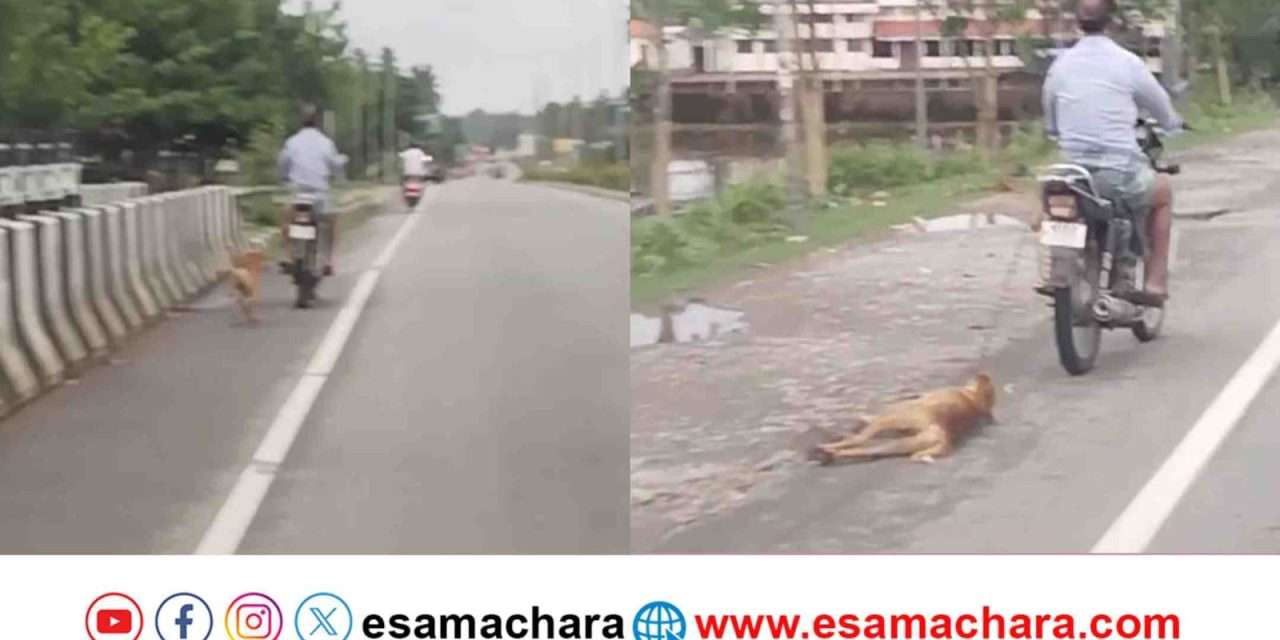 Inhumanity / ಶ್ವಾನವನ್ನ  ಬೈಕ್ ಗೆ ಕಟ್ಟಿ ದರದರನೇ ಎಳೆದೋಯ್ದ ಭೂಪ. ಪೊಲೀಸರಿಂದ ಸೋಮೊಟೊ ಪ್ರಕರಣ.