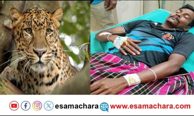 Panther Attack/ ಮನೆಯೊಳಗೆ ಅವಿತುಕೊಂಡ ಚಿರತೆ. ನೋಡಿ ಕೂಗಿದ ಮಹಿಳೆ. ಶಬ್ದಕ್ಕೆ ಹೊರ ಬಂದು ಯುವಕನ ಮೇಲೆ ದಾಳಿ.