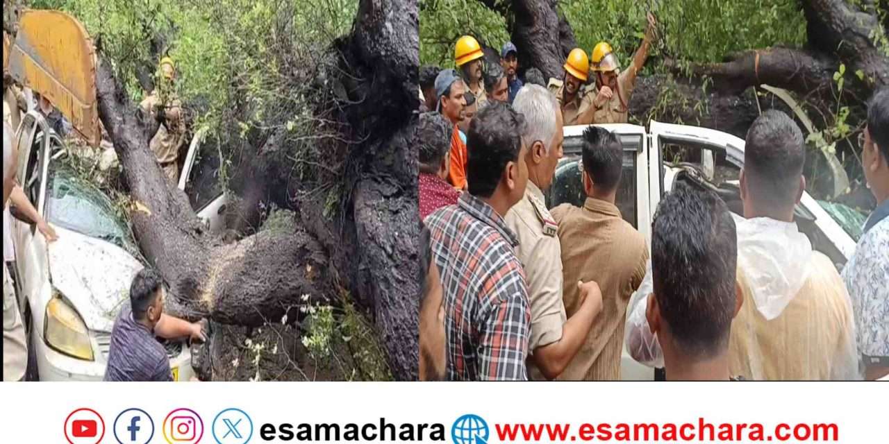 Tree feeldown/ ಕಾರವಾರದಲ್ಲಿ ದೊಪ್ಪನೆ ಬಿದ್ದ ಮರ. ಕಾರು ಜಖಂ. ಮಹಿಳೆ ಬಲಿ.
