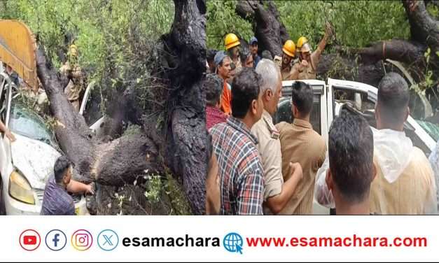 Tree feeldown/ ಕಾರವಾರದಲ್ಲಿ ದೊಪ್ಪನೆ ಬಿದ್ದ ಮರ. ಕಾರು ಜಖಂ. ಮಹಿಳೆ ಬಲಿ.