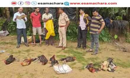 Police Raid/ ಕುಮಟಾದಲ್ಲಿ ಕೋಳಿ ಪಡೆಗೆ ಬಂದವರು ಎಸ್ಕೇಪ್. ಕೋಳಿಗಳಿಗೆ ಶಿಕ್ಷೆ.