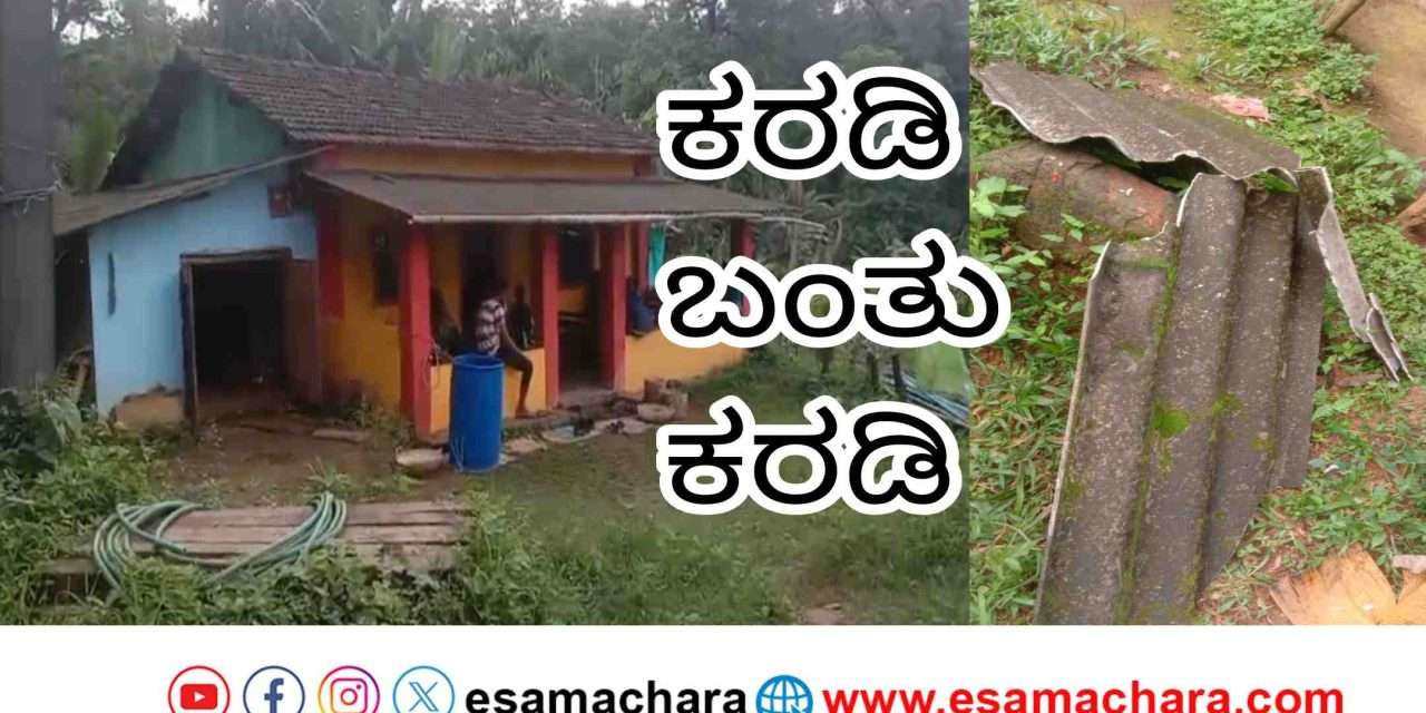 Daylight Bear/ಹಾಡುಹಗಲೇ ಮನೆಗೆ ನುಗ್ಗಿದ ಕರಡಿ, ತಪ್ಪಿದ ಅನಾಹುತ