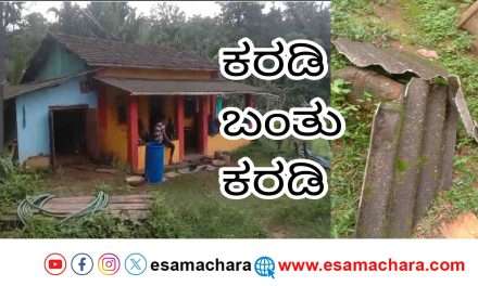 Daylight Bear/ಹಾಡುಹಗಲೇ ಮನೆಗೆ ನುಗ್ಗಿದ ಕರಡಿ, ತಪ್ಪಿದ ಅನಾಹುತ