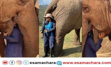Elephant Song/ ಮಹಿಳೆಯ ಇಂಪಾದ ಹಾಡಿಗೆ ಆತ್ಮೀಯತೆ ತೋರಿಸಿದ ಆನೆ.