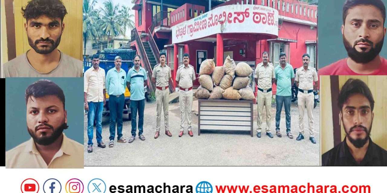 Bhatkal Rural/ ಟೈಲ್ಸ್ ಕೆಲಸಕ್ಕೆ ಬಂದವರು ಮಾರುಕೇರಿಯಲ್ಲಿ ಅಡಿಕೆ ಕದ್ದರು.