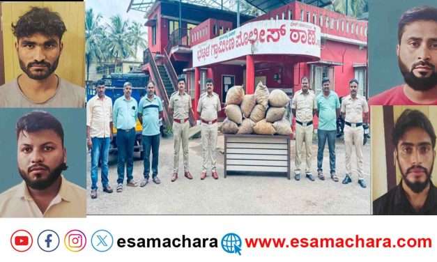 Bhatkal Rural/ ಟೈಲ್ಸ್ ಕೆಲಸಕ್ಕೆ ಬಂದವರು ಮಾರುಕೇರಿಯಲ್ಲಿ ಅಡಿಕೆ ಕದ್ದರು.