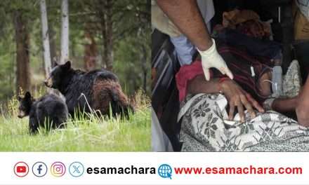 Bear Attack/ ದನ ಮೇಯಿಸುತ್ತಿದ್ದ ರೈತನ ಮೇಲೆ ಕರಡಿಗಳ ದಾಳಿ.