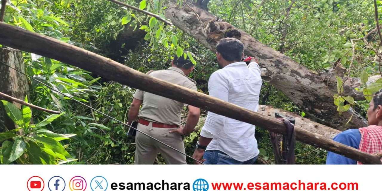 Yallapur News/ ಉರುಳಿ ಬಿದ್ದ ಬೃಹತ್ ಮರ. ಮಕ್ಕಳ ಕರೆತರಲು ಹೋಗಿದ್ದ ಗರ್ಭಿಣಿ ಸಾವು.