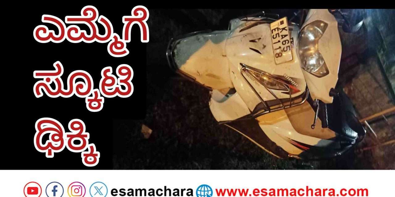 Accident/ ಎಮ್ಮೆಗೆ ಡಿಕ್ಕಿ ಹೊಡೆದ ಸ್ಕೂಟಿ ಸವಾರ ಸ್ಥಳದಲ್ಲೇ ಸಾವು.