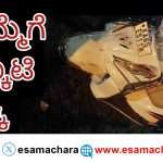 Accident/ ಎಮ್ಮೆಗೆ ಡಿಕ್ಕಿ ಹೊಡೆದ ಸ್ಕೂಟಿ ಸವಾರ ಸ್ಥಳದಲ್ಲೇ ಸಾವು.