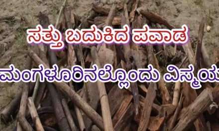 Miracle/ 69 ವರ್ಷದ ಸತ್ತ ವ್ಯಕ್ತಿ ಚಿತೆಯಲ್ಲಿ ಎದ್ದ.  ವೈದ್ಯಕೀಯ ಲೋಕದಲ್ಲಿ ಮತ್ತೊಂದು ಅಚ್ಚರಿಯ ಘಟನೆ.