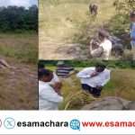 Elephant Death/ ವಿದ್ಯುತ್ ಶಾಕ್ ಗೆ ಜೋಡಿಯಾನೆ ಬಲಿ. ಅರಣ್ಯ ಇಲಾಖೆಯಿಂದ ತನಿಖೆ.