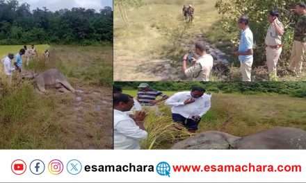 Elephant Death/ ವಿದ್ಯುತ್ ಶಾಕ್ ಗೆ ಜೋಡಿಯಾನೆ ಬಲಿ. ಜಮೀನು ಮಾಲೀಕನ ಮೇಲೆ ಪ್ರಕರಣ.