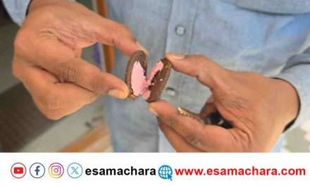 Worm detection/  ಪೋಷಕರೇ ಮಕ್ಕಳಿಗೆ ಆಹಾರ ನೀಡುವ ಮೊದಲು ಎಚ್ಚರ! ಬಿಸ್ಕೇಟ್ ನಲ್ಲಿ ಹುಳು ಪತ್ತೆ.