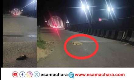 Karwar Pothole//ಕಾರವಾರದಿಂದ ಬಿಣಗಾ ಕಡೆ ತೆರಳುವ ವಾಹನ ಸವಾರರೇ ಎಚ್ಚರ! ರಸ್ತೆಯಲ್ಲಿ ಬಿದ್ದಿದೆ ಬಾರೀ ಹೊಂಡ