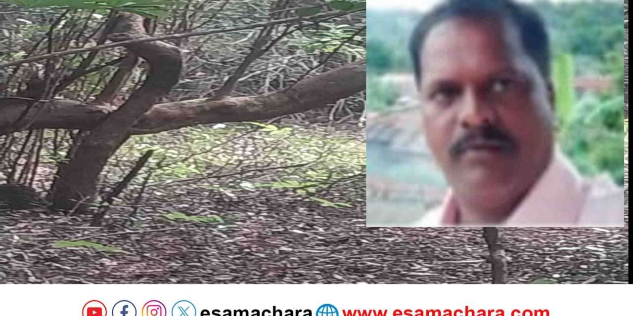 Hescom Officer/ ಕಾಳಿ ಹುಲಿ ಸಂರಕ್ಷಿತ ಅರಣ್ಯದಲ್ಲಿ ಹೆಸ್ಕಾಂ ಅಧಿಕಾರಿ ನೇಣಿಗೆ ಶರಣು