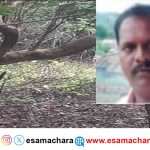 Hescom Officer/ ಕಾಳಿ ಹುಲಿ ಸಂರಕ್ಷಿತ ಅರಣ್ಯದಲ್ಲಿ ಹೆಸ್ಕಾಂ ಅಧಿಕಾರಿ ನೇಣಿಗೆ ಶರಣು