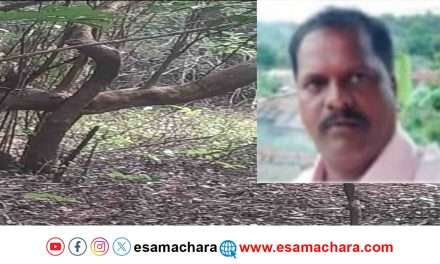 Hescom Officer/ ಕಾಳಿ ಹುಲಿ ಸಂರಕ್ಷಿತ ಅರಣ್ಯದಲ್ಲಿ ಹೆಸ್ಕಾಂ ಅಧಿಕಾರಿ ನೇಣಿಗೆ ಶರಣು