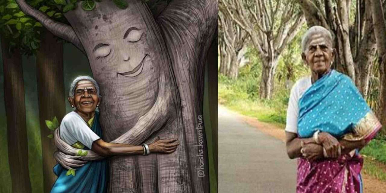 Tributes/ ಆಕ್ಷಿಜನ್ ಕೊಟ್ಟು ಮರೆಯಾದ ಅಜ್ಜಿ. ಸಾಲು ಮರದ ತಿಮ್ಮಕ್ಕ ಇನ್ನೂ ನೆನಪು ಮಾತ್ರ.