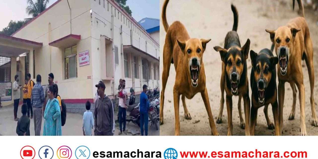 Dog Attack/ ದಾಂಡೇಲಿಯಲ್ಲಿ ಬೀದಿ ನಾಯಿಗಳ ಅಟ್ಟಹಾಸ. ಹಲವರಿಗೆ ಗಾಯ. ಆಸ್ಪತ್ರೆಯಲ್ಲಿ ಚಿಕಿತ್ಸೆ.